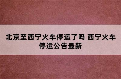 北京至西宁火车停运了吗 西宁火车停运公告最新